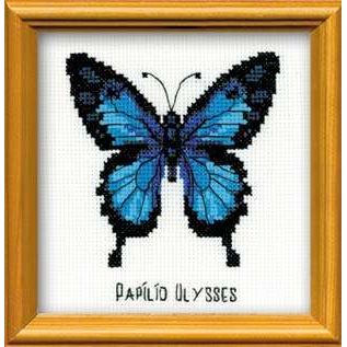 Papillon Ulysses - Riolis HB095