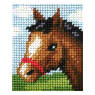 Broderie débutant: Cheval - 9724
