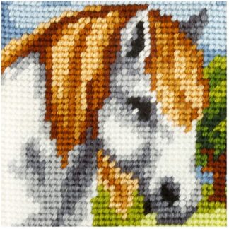Cheval blanc - Orchidea 9611