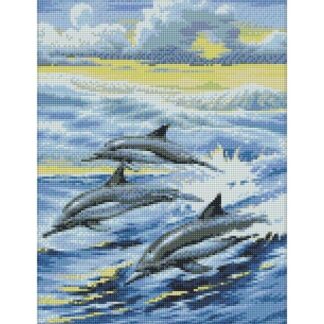 Famille de dauphins AZ1062