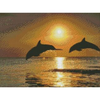 Dauphins au coucher du soleil AZ1089