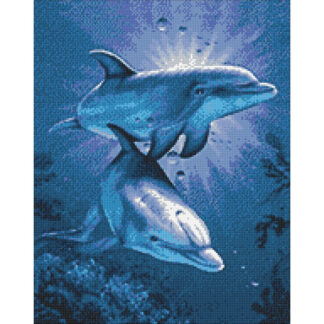 Rencontre de Dauphins WD222