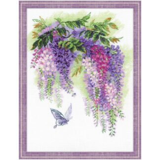 Wisteria - Riolis 1672
