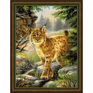 Lynx - Riolis 1673