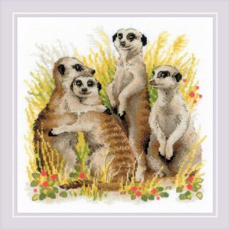 Suricates - Riolis 1761