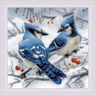 Geais bleus - Riolis 1925