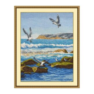 Mouettes sur les rochers - Oven 816