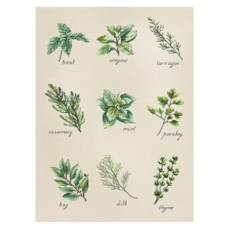 Herbes aromatiques - Luca-S 2346