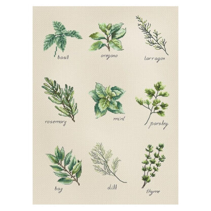 Herbes aromatiques - Luca-S 2346