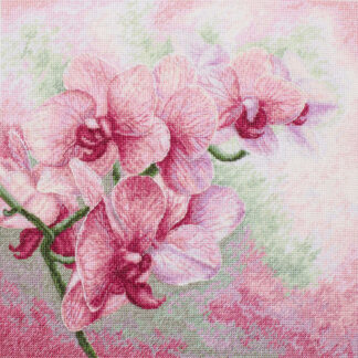 Orchidées gracieuses - Luca-S 7009