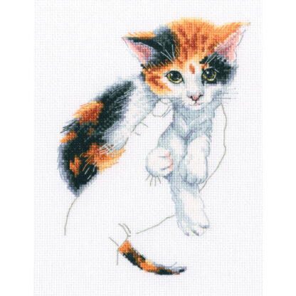 Chaton - RTO 819