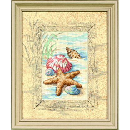 Plage aux coquillages - Dimensions D06956