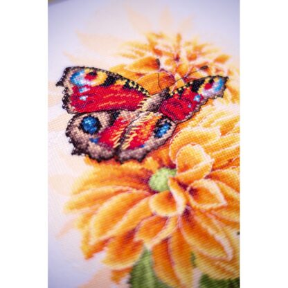 Papillon paon - Lanarte 190703 – Image 2
